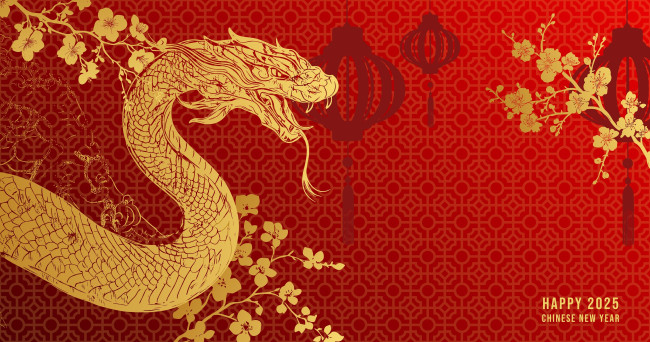 중국의 음력 설 여행 붐, 일명 '춘윤'에 대해 알아야 할 모든 것