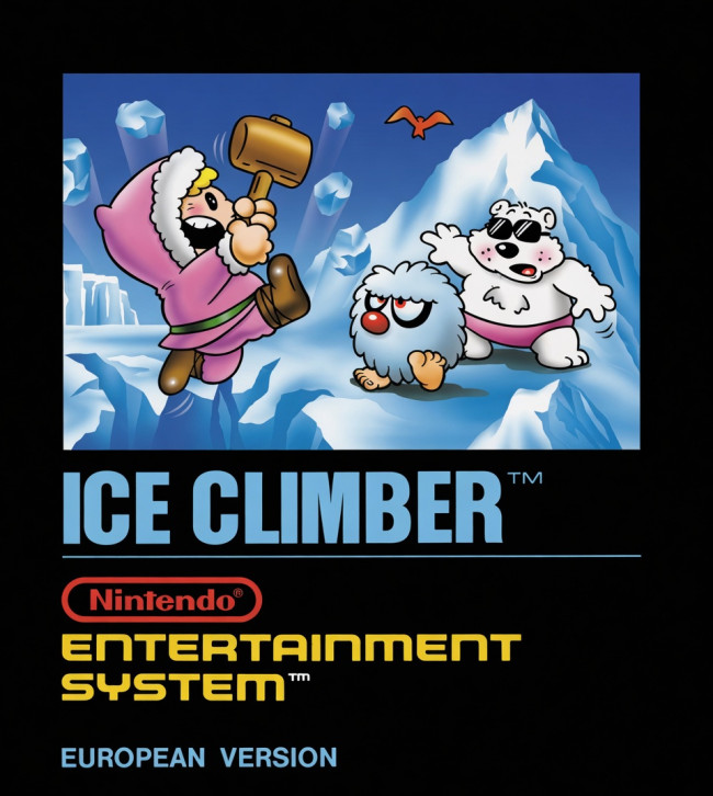 가장 멋진 10가지 표지: NES