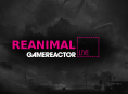 오늘 GR Live에서 Reanimal 를 플레이하고 있습니다