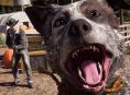소문: Far Cry 7는 2025년에 출시되며 부유한 인질을 중심으로 전개됩니다.