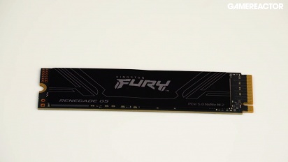 킹스턴 퓨리 레니게이드 G5 NVMe